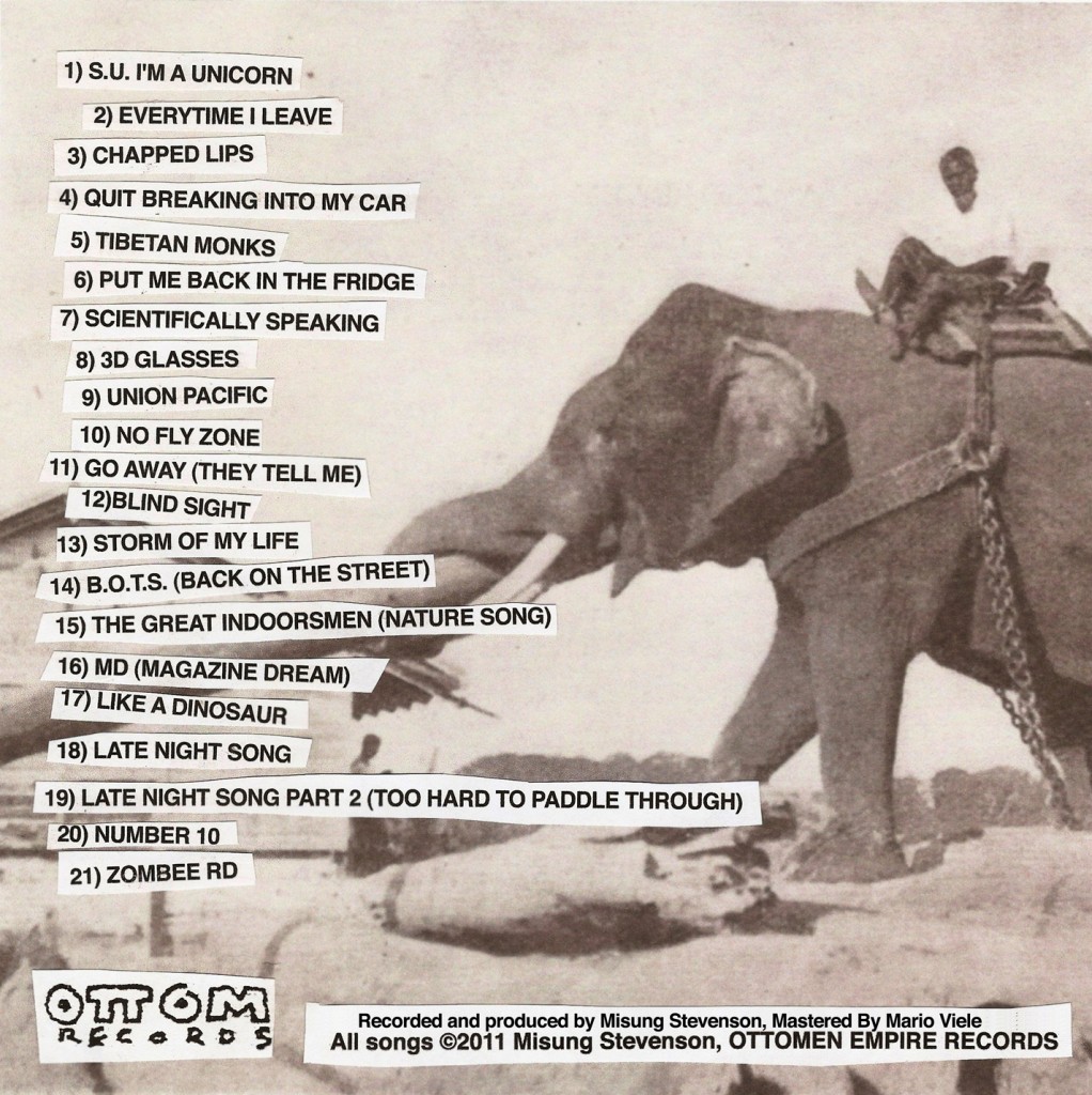 misungtoohardtopaddlethroughbackcover