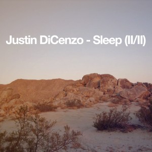 sleep3