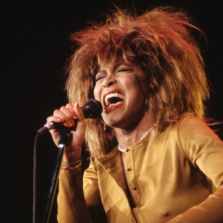 Tina Turner in Concert