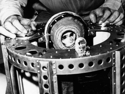 space-rhesus-monkey